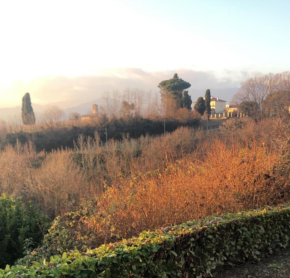 Casa Regis Bed & Breakfast Lessona Exterior foto
